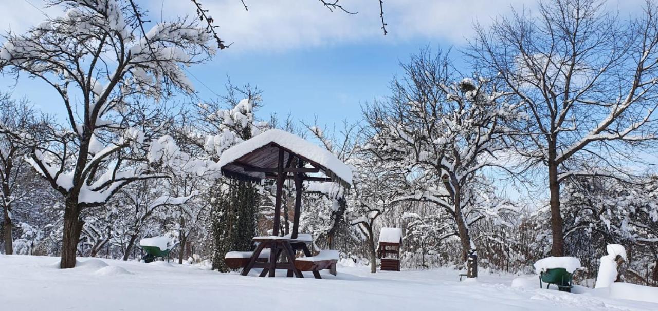 Vila Casa Bunicului Vistisoara Exteriér fotografie