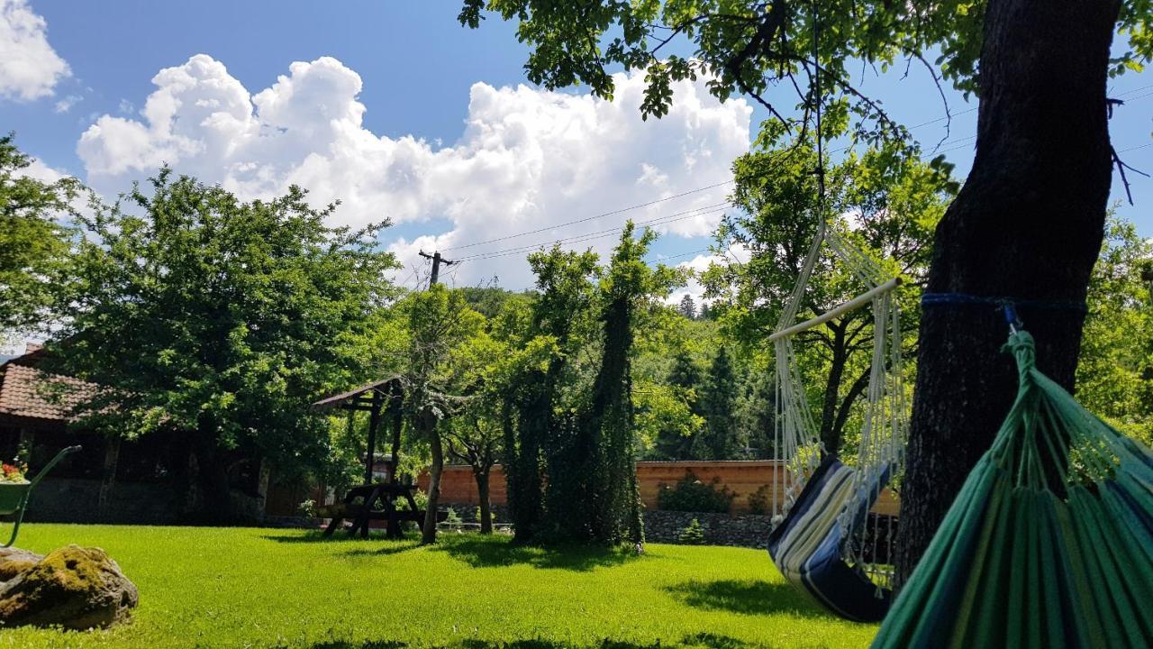 Vila Casa Bunicului Vistisoara Exteriér fotografie