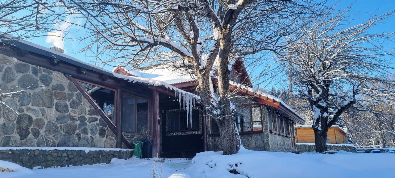 Vila Casa Bunicului Vistisoara Exteriér fotografie