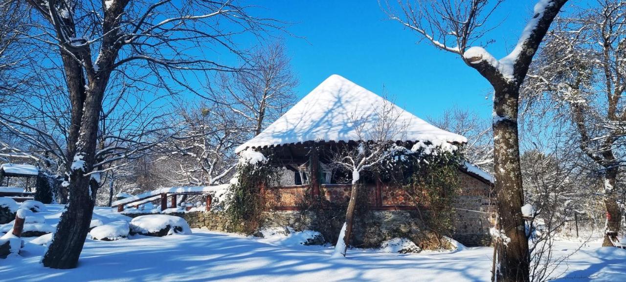 Vila Casa Bunicului Vistisoara Exteriér fotografie