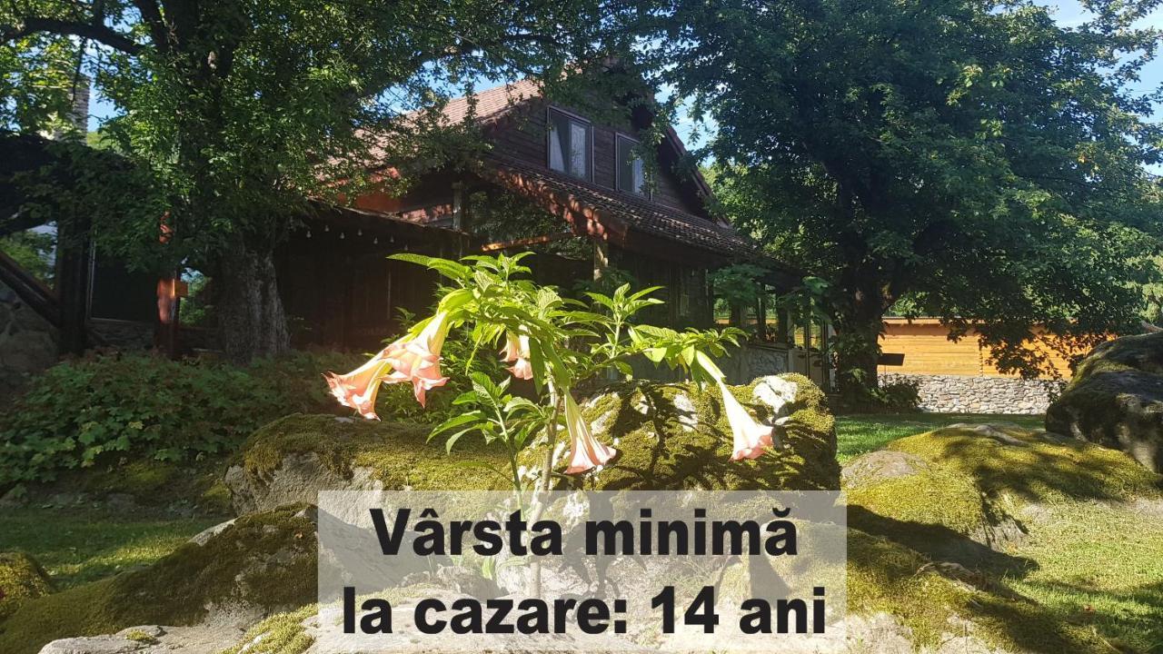 Vila Casa Bunicului Vistisoara Exteriér fotografie