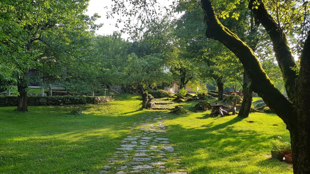 Vila Casa Bunicului Vistisoara Exteriér fotografie