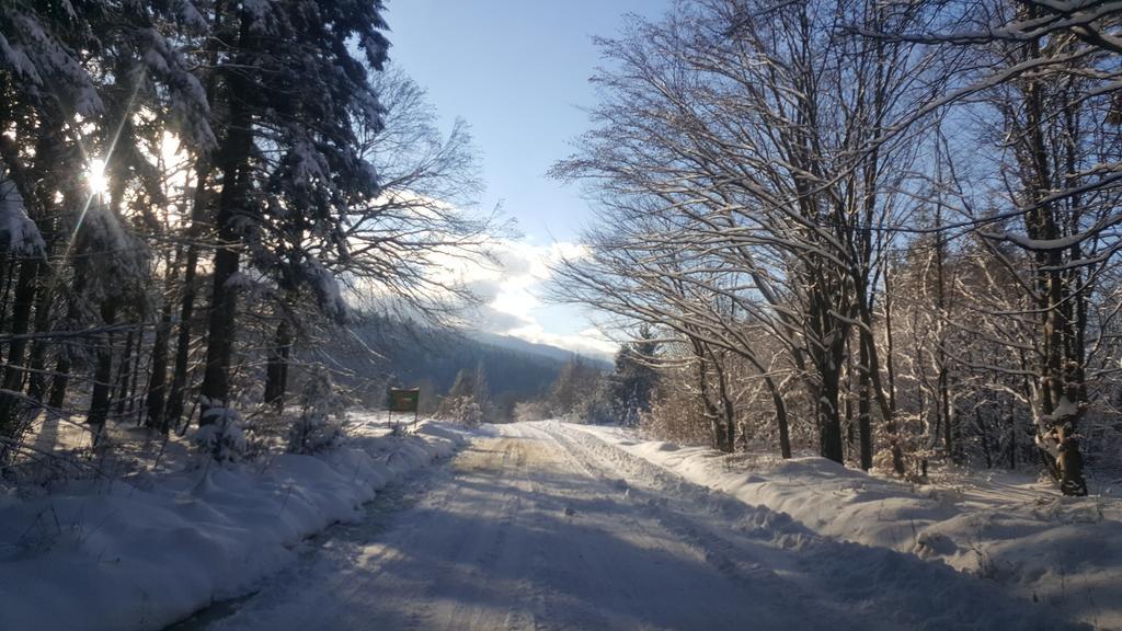 Vila Casa Bunicului Vistisoara Exteriér fotografie