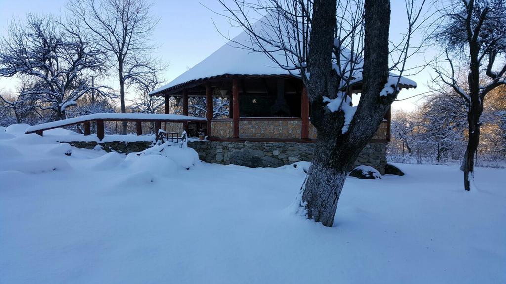 Vila Casa Bunicului Vistisoara Exteriér fotografie