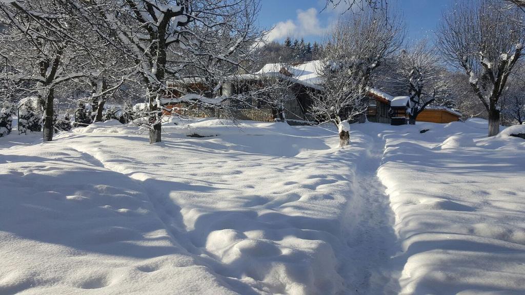 Vila Casa Bunicului Vistisoara Exteriér fotografie