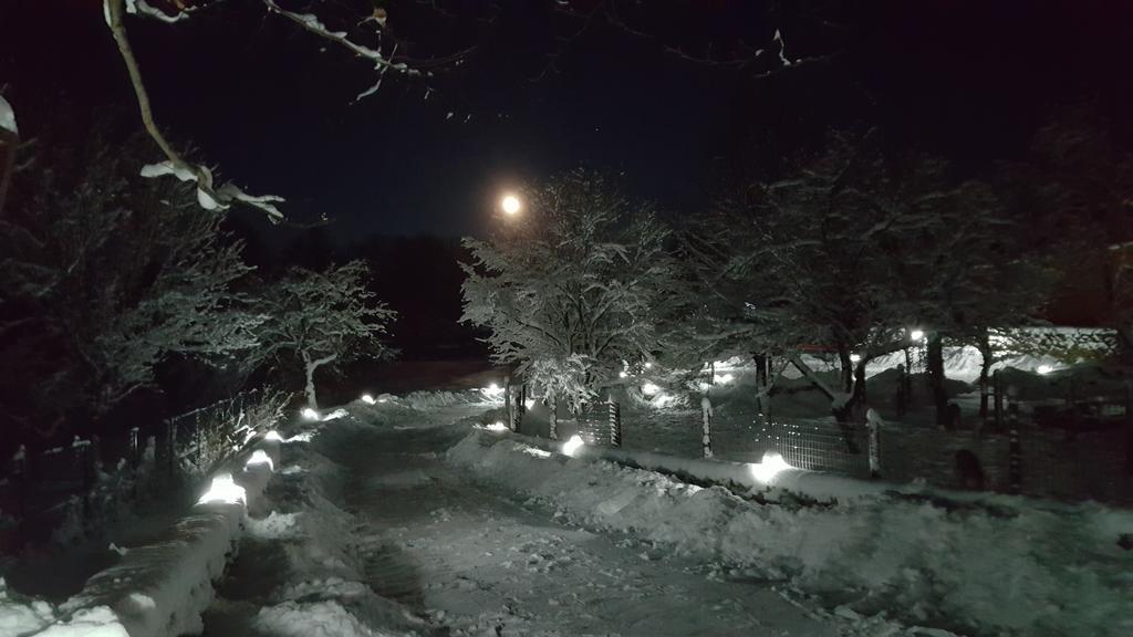 Vila Casa Bunicului Vistisoara Exteriér fotografie