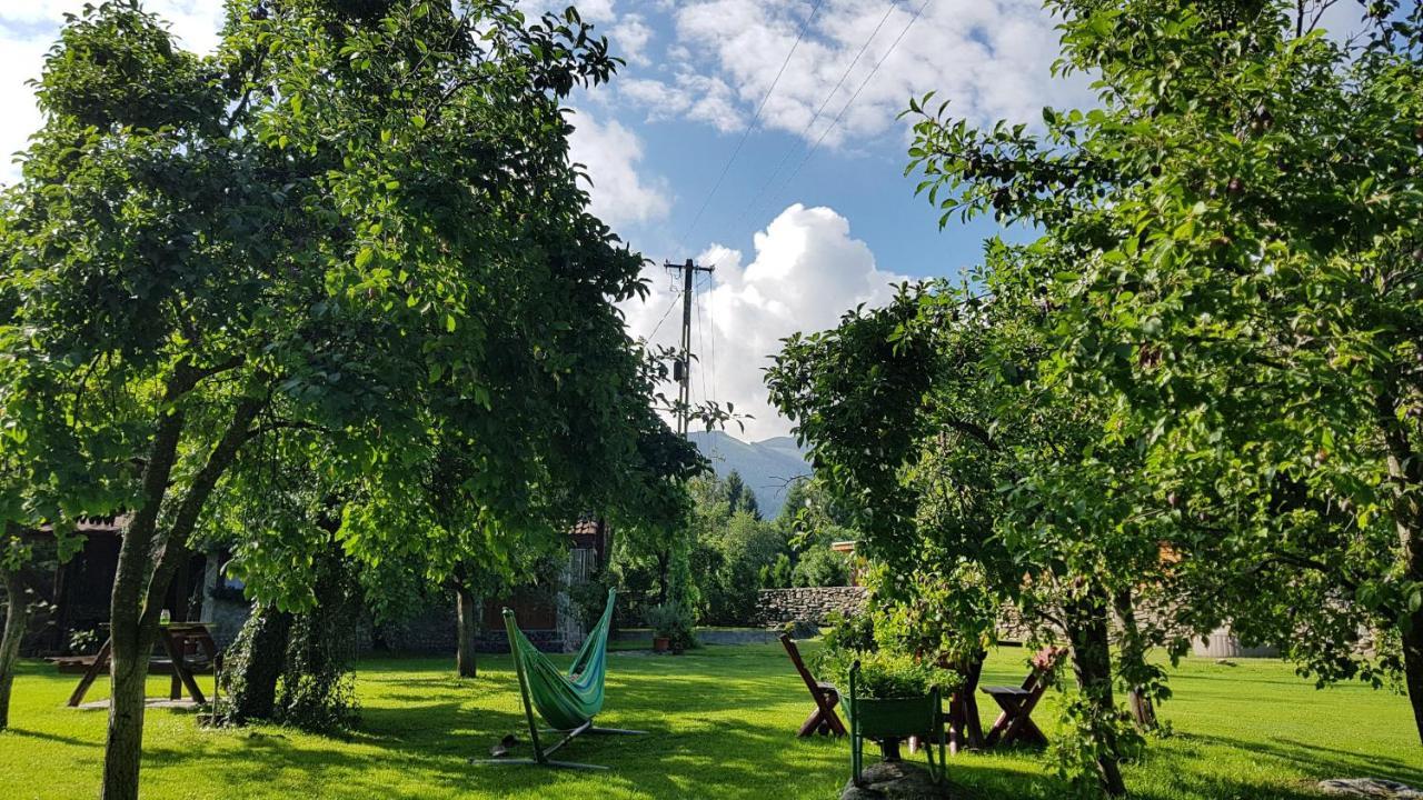 Vila Casa Bunicului Vistisoara Exteriér fotografie