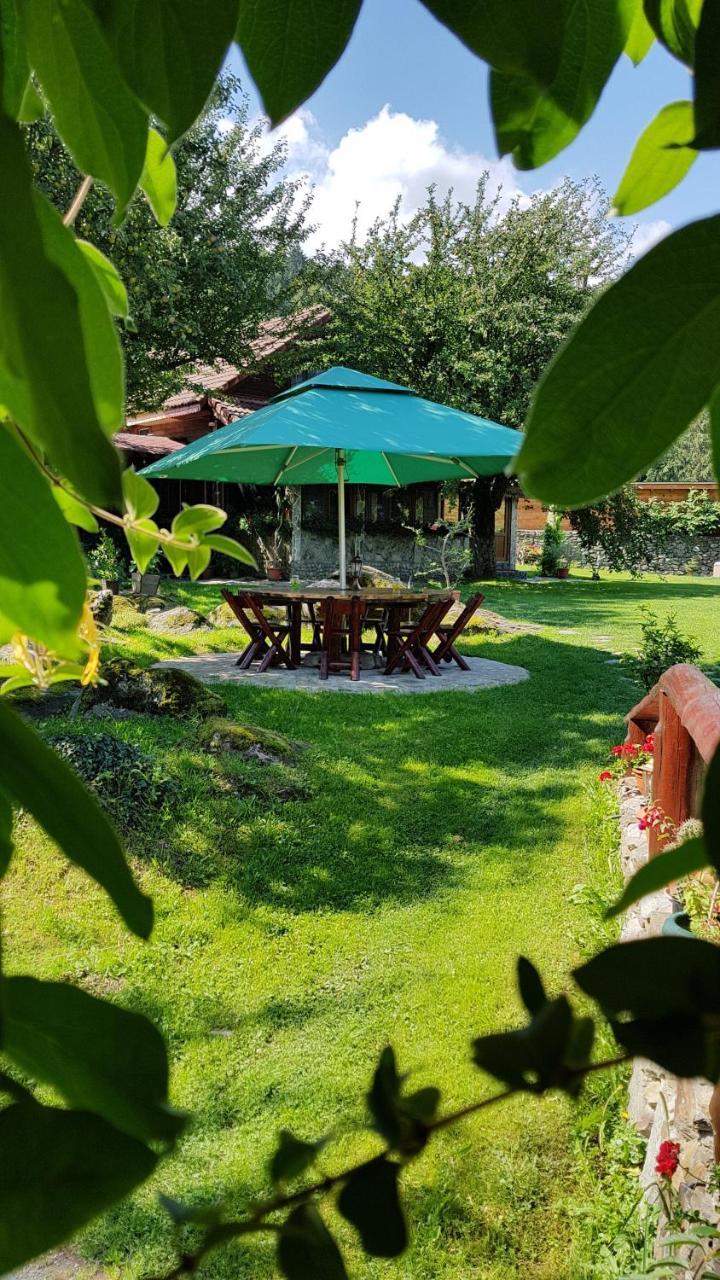 Vila Casa Bunicului Vistisoara Exteriér fotografie