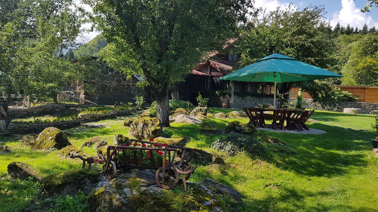 Vila Casa Bunicului Vistisoara Exteriér fotografie