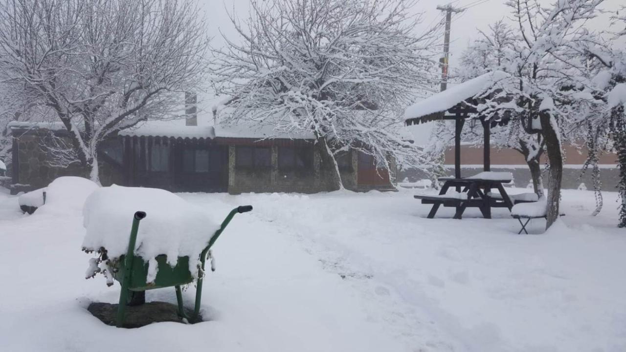 Vila Casa Bunicului Vistisoara Exteriér fotografie