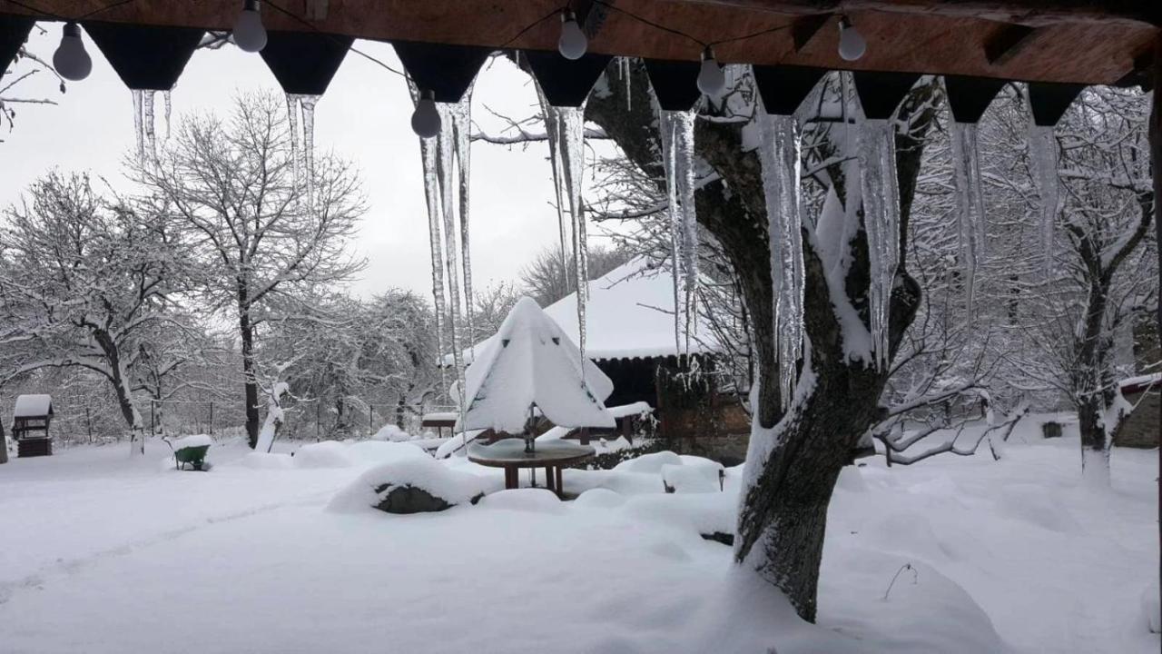 Vila Casa Bunicului Vistisoara Exteriér fotografie