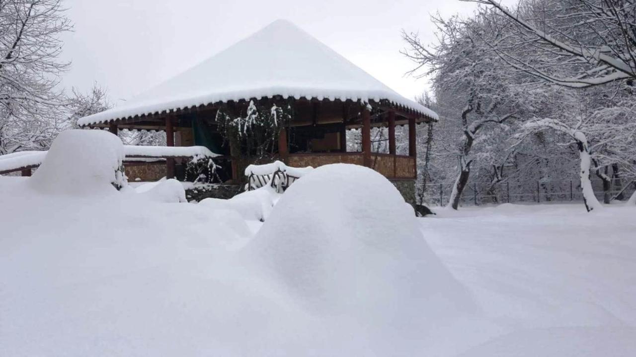 Vila Casa Bunicului Vistisoara Exteriér fotografie