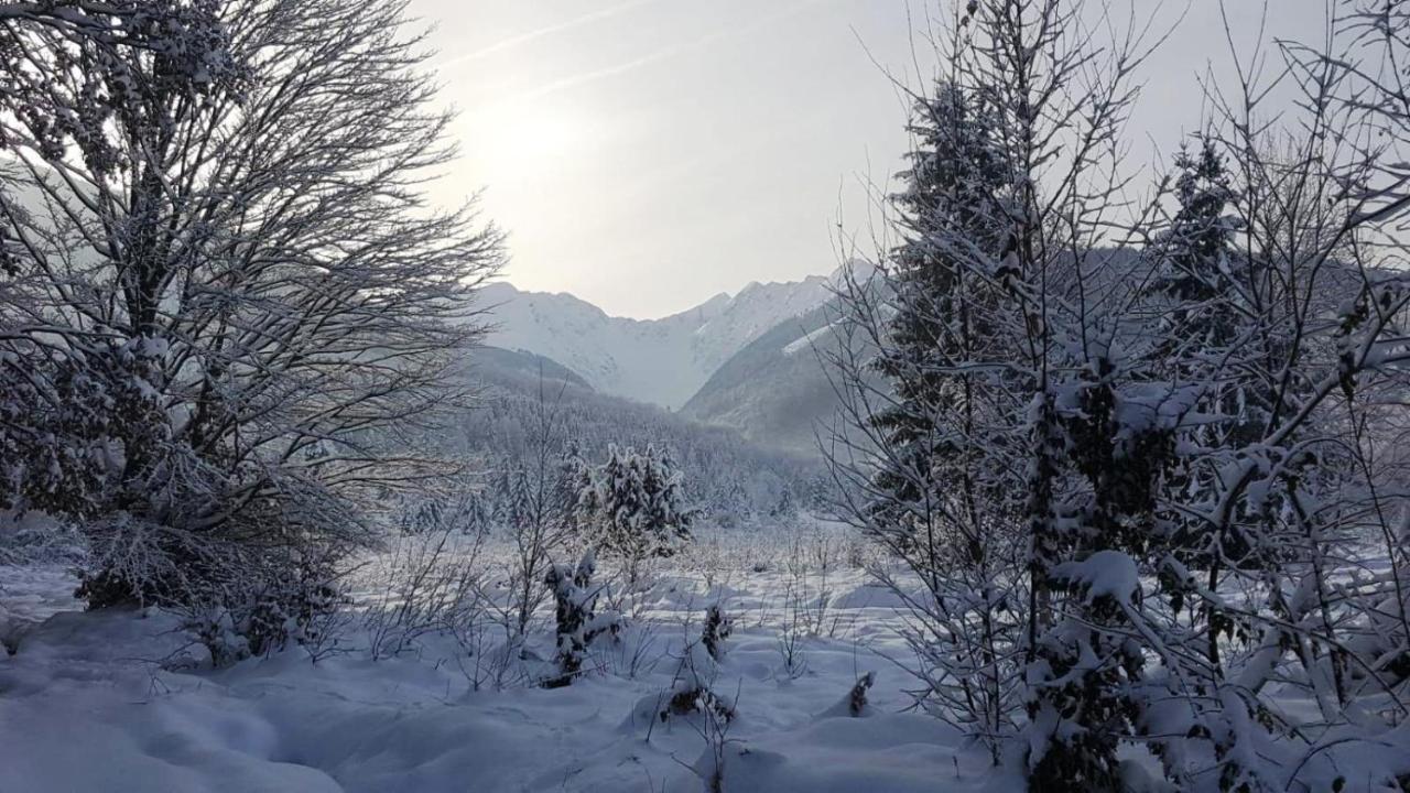 Vila Casa Bunicului Vistisoara Exteriér fotografie