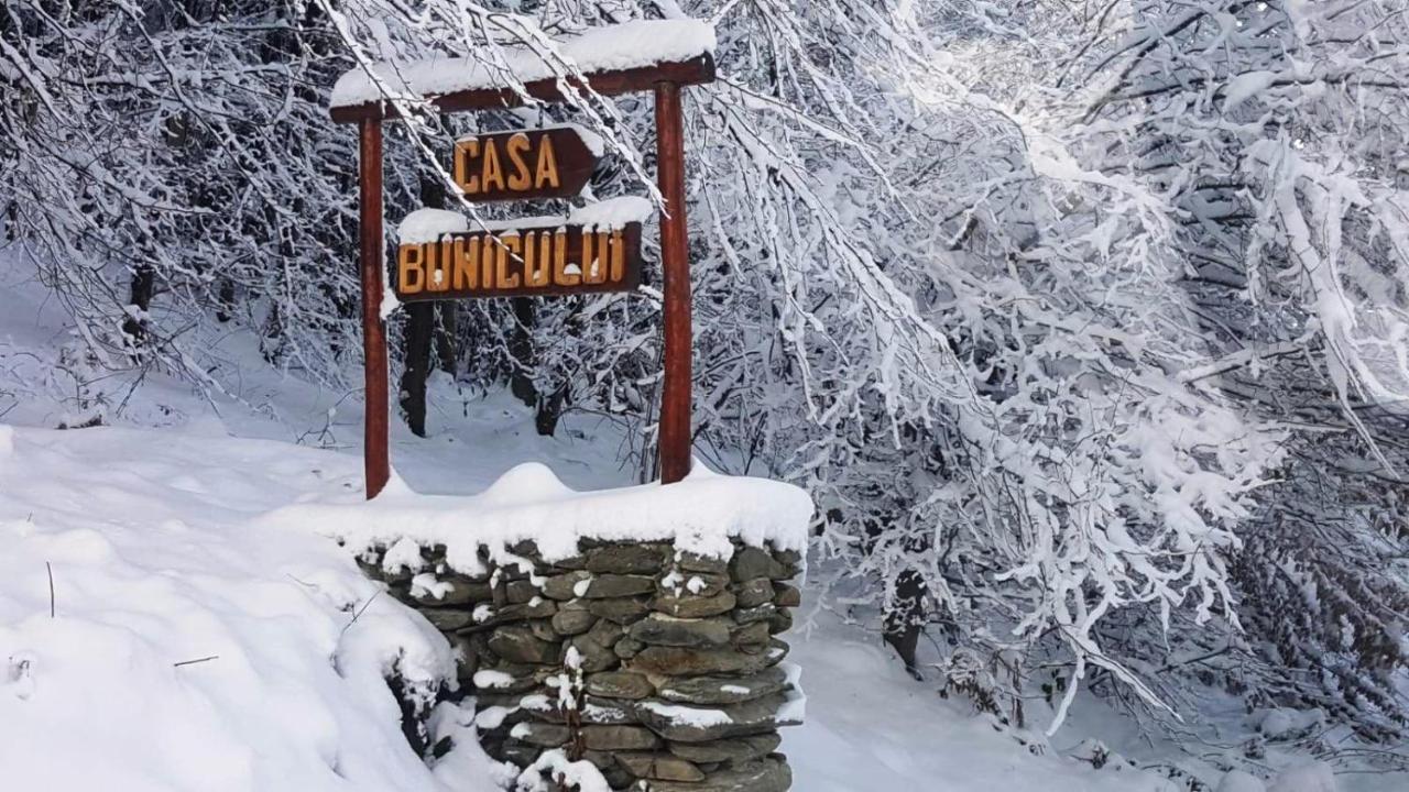 Vila Casa Bunicului Vistisoara Exteriér fotografie