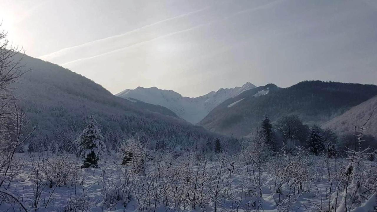 Vila Casa Bunicului Vistisoara Exteriér fotografie
